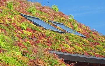 Ruighriabhach living roof systems