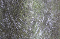 Ruighriabhach fibreglass roof work